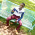 It is a nice picture.?