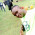 Green background