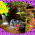 my profile picture