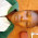 About myself:I am chepkemoi Joan student at maseno university..I pursue a bachelor of science physic