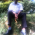 mr president