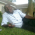 jilani in maseno college campus