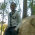 At maseno university main campus during a hike