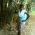 pascalia neema