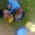 rapho