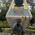 its a background picture