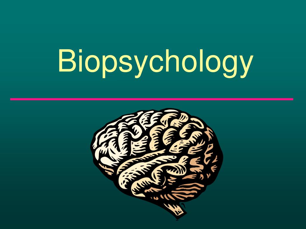Course Image APY 301 : Bio-Psychology